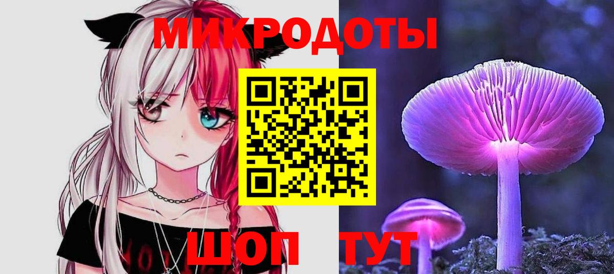 Черкесск  Галлюциногенные грибы Psilocybine cubensis  Вход с VPN 