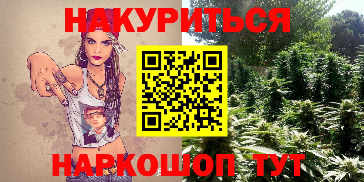 Бошки Шишки сатива Черкесск